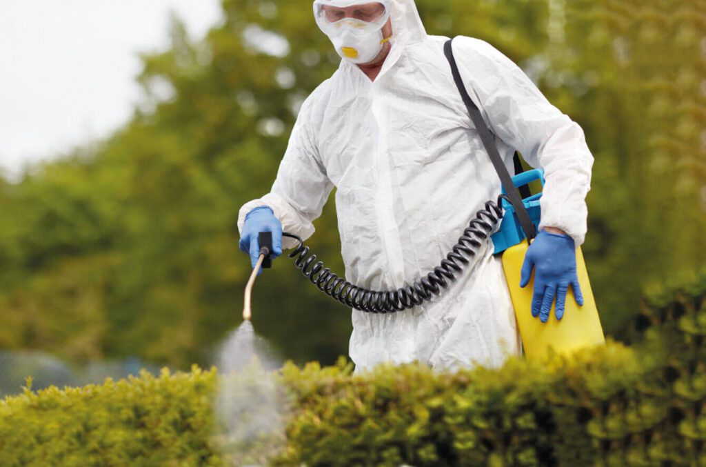 Controle de Plantas Daninhas em Mogi Mirim